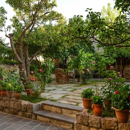 Отель Elysee Cave House 4*